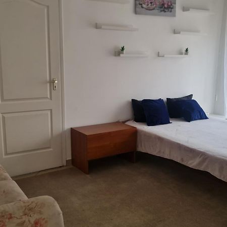 Tulipan Apartman سيغيد المظهر الخارجي الصورة