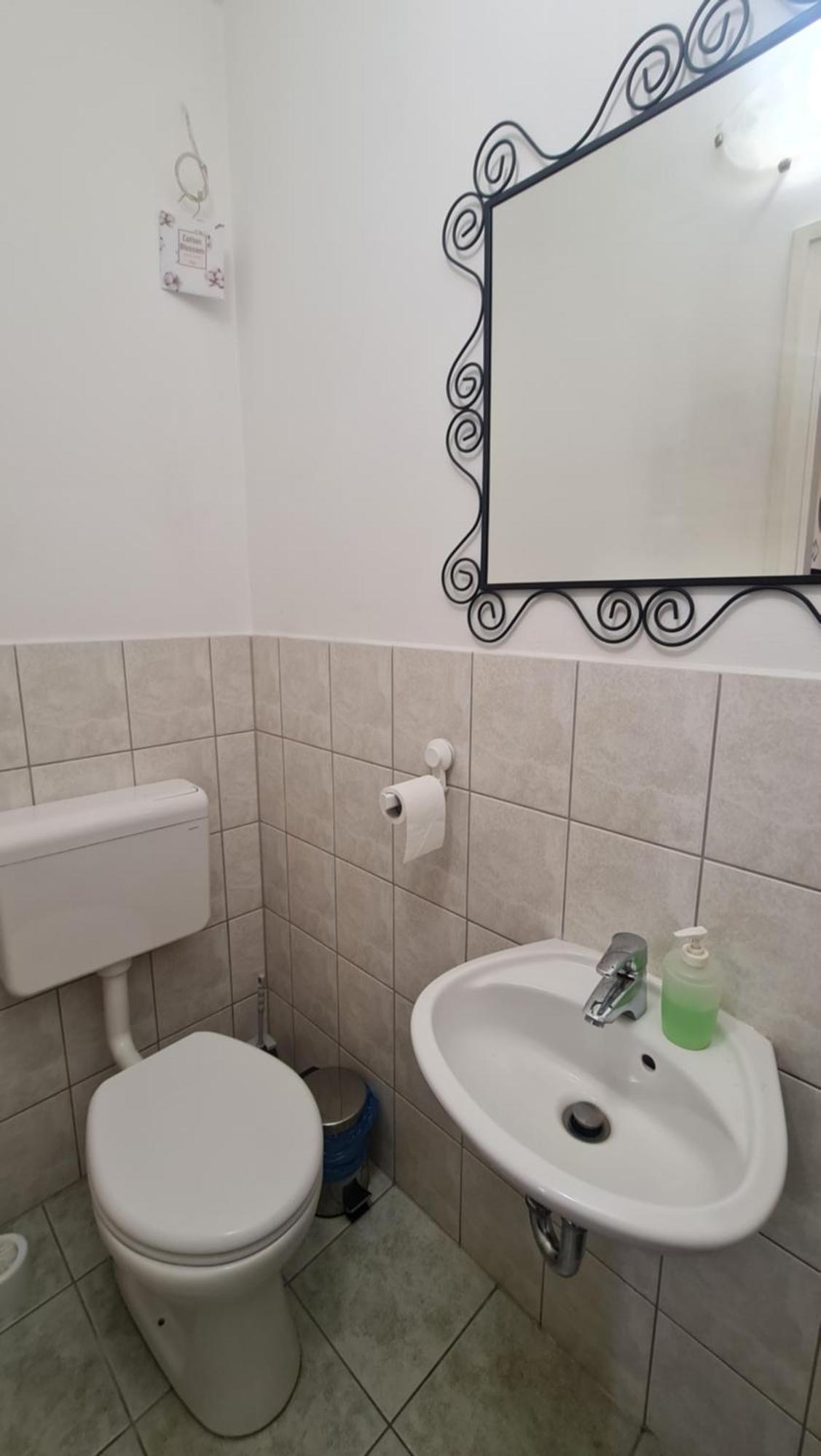 Tulipan Apartman سيغيد المظهر الخارجي الصورة